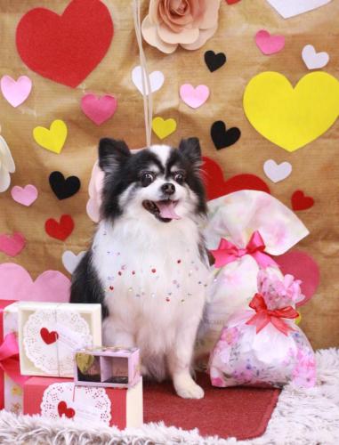 20230204レオくん